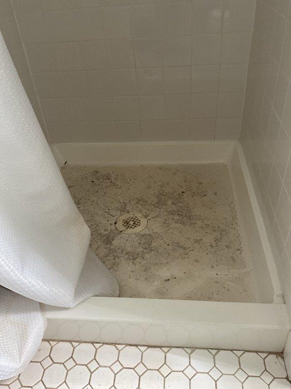 Responded to backflow issue in 103-year-old home where sewage backed up through basement toilet and shower during recent storms. Inspected bathroom fixtures and drainage system, documenting conditions of hexagonal tile flooring, toilet area, and shower stall with terrazzo base. Found evidence of backup with visible debris and discoloration around shower drain and floor surfaces. Assessed plumbing infrastructure typical of century-old construction to determine cause of reverse flow during heavy rainfall events.