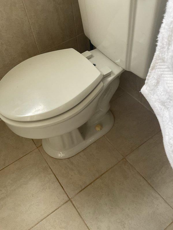 Responded to priority water leak on second floor toilet causing water intrusion into first floor bathroom ceiling in century-old home. Upon inspection, identified compromised toilet flange and wax ring seal as primary source of leakage. Evidence of chronic water seepage visible through significant staining and discoloration on bathroom floor tiles surrounding the exposed drain opening. Removed existing toilet to access deteriorated flange assembly. Documented existing conditions showing rust-colored water damage penetrating tile and grout around drain area, indicating prolonged leak activity. Assessed structural integrity of subflooring and underlying plumbing connections to determine extent of water damage and necessary repairs for proper toilet reinstallation and leak remediation.