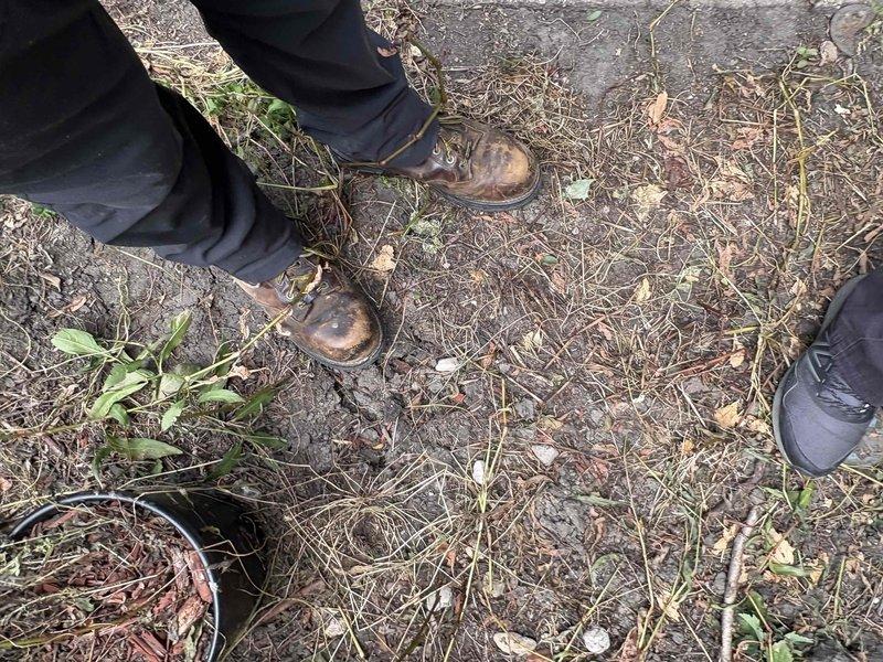 Conducted on-site inspection of underground plumbing system access point. Located and assessed buried septic tank or sewer cleanout cover in residential yard area. Presented repair and maintenance options to property owner, resulting in successful sale of recommended plumbing services for future work completion.