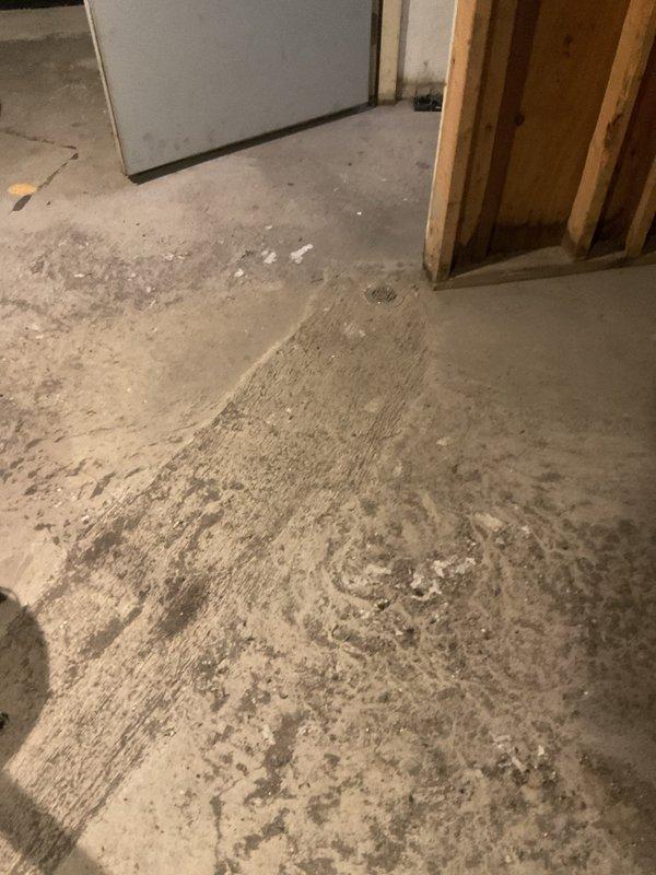 Responded to service call regarding sewage odor emanating from sump pump system with concern about potential blockage in main sewer line. Upon arrival, performed comprehensive inspection of basement sump pump installation and surrounding drainage system. Conducted visual assessment of pump pit and checked for standing water or debris accumulation that could cause odor issues.

Investigated potential blockage between residence and city sewer connection by examining accessible cleanouts and drainage pathways. Tested sump pump operation to verify proper discharge function and ruled out pump mechanical failure as source of odor. Inspection revealed no evidence of active blockage in main sewer line affecting sump pump performance.

Determined sewage odor was likely caused by dry trap or lack of proper venting in sump pit rather than sewer line obstruction. Documented basement conditions including HVAC systems, exposed utilities, and concrete floor areas showing previous water patterns. Prov