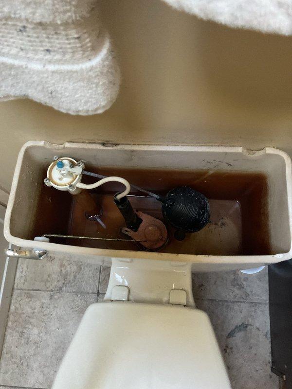 Responded to clogged toilet issue and conducted thorough diagnostic inspection of plumbing system. Upon investigation, discovered the problem extended beyond the fixture itself, identifying significant sediment accumulation in floor drain and severely discolored water in toilet tank indicating rust contamination or corroded supply line components. Documented conditions with photographic evidence showing debris-filled floor drain access port and brown-tinted water throughout tank assembly with worn flapper valve, suggesting deeper systemic plumbing concerns requiring further repair estimates.