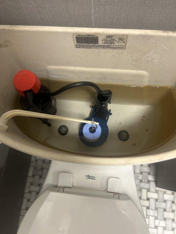 Responded to service call for low water pressure at kitchen sink and toilet flushing issues. Inspected kitchen plumbing and identified reduced flow at sink faucet. Examined bathroom toilet tank and found faulty flapper valve assembly and flush valve mechanism causing inconsistent flushing and requiring manual chain operation to refill tank. Noted discolored water and mineral buildup in tank interior indicating potential supply line sediment issues. Documented toilet components including American Standard flush valve assembly with red cap, black overflow tube, and blue flapper valve connected by chain. Recommended flapper replacement and flush valve adjustment to restore proper automatic flushing function. Advised addressing water discoloration and sediment concerns to prevent future pressure issues throughout plumbing system.