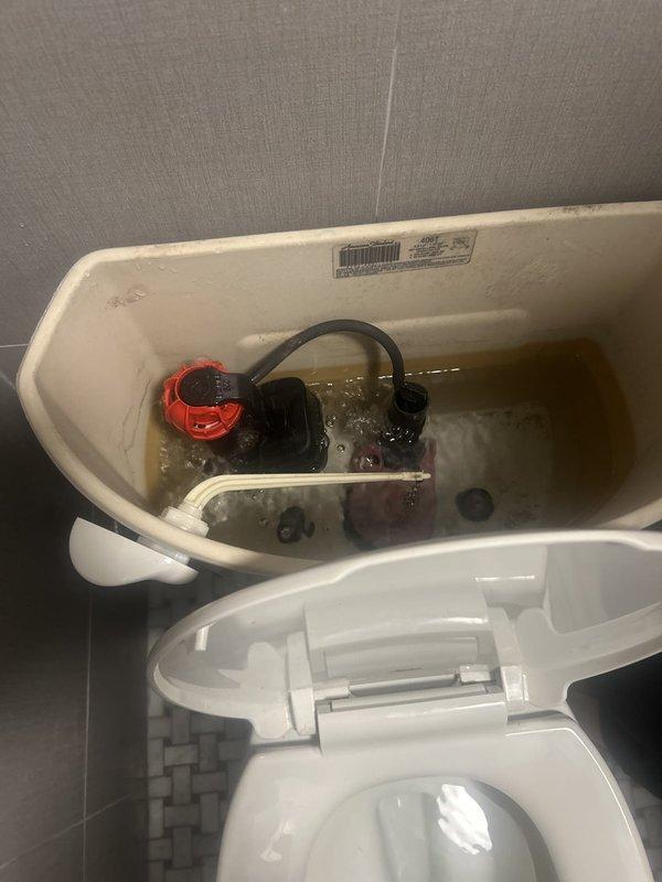 Responded to service call for low water pressure at kitchen sink and toilet flushing issues. Inspected kitchen plumbing and identified reduced flow at sink faucet. Examined bathroom toilet tank and found faulty flapper valve assembly and flush valve mechanism causing inconsistent flushing and requiring manual chain operation to refill tank. Noted discolored water and mineral buildup in tank interior indicating potential supply line sediment issues. Documented toilet components including American Standard flush valve assembly with red cap, black overflow tube, and blue flapper valve connected by chain. Recommended flapper replacement and flush valve adjustment to restore proper automatic flushing function. Advised addressing water discoloration and sediment concerns to prevent future pressure issues throughout plumbing system.