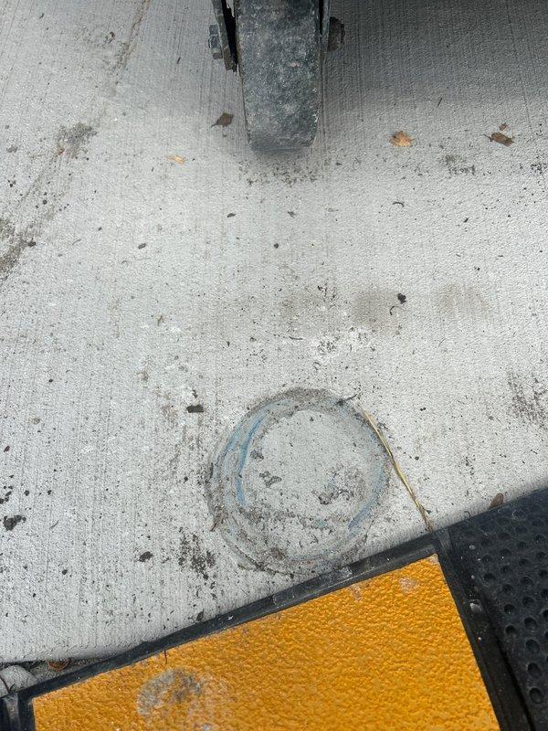 Conducted comprehensive plumbing assessment addressing three separate concerns: corroded piping near water meter shut-off valve requiring replacement, recurring sewer fly infestation necessitating verification of drain line clearance following previous scope inspections, and shower base leak requiring investigation. Documented existing conditions including deteriorated pipe insulation at shut-off location and concrete floor surface conditions for estimate preparation.
