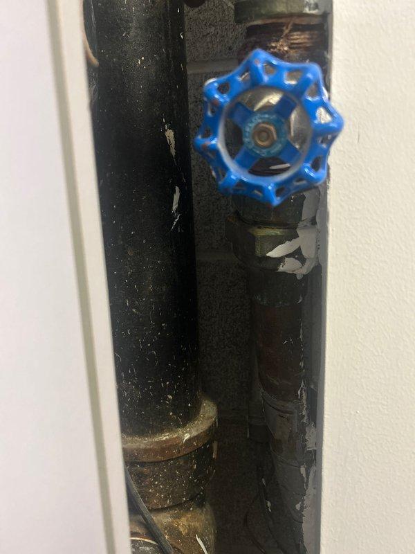 Conducted comprehensive plumbing assessment addressing three separate concerns: corroded piping near water meter shut-off valve requiring replacement, recurring sewer fly infestation necessitating verification of drain line clearance following previous scope inspections, and shower base leak requiring investigation. Documented existing conditions including deteriorated pipe insulation at shut-off location and concrete floor surface conditions for estimate preparation.