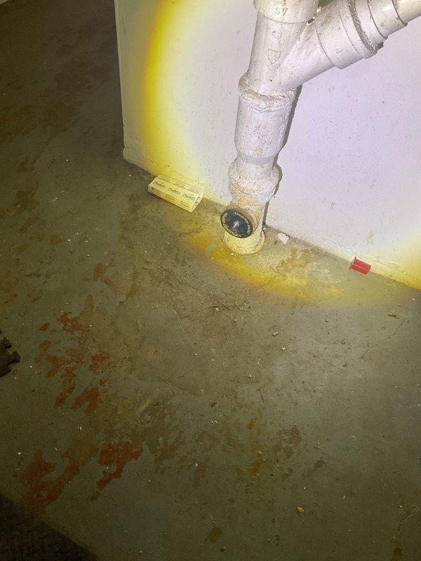 Responded to a mainline drain blockage and performed rodding service to clear the obstruction. Utilized professional drain cleaning equipment including motorized auger to snake and clear the main sewer line through the basement cleanout access point. Successfully restored proper drainage flow through the system.