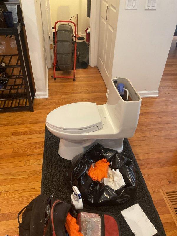 Responded to recurring flooding incidents affecting vanity sink and ground floor bathroom with toilet paper backup. Removed and reset toilet to access drain line after previous contractor reported tree root intrusion but provided unclear assessment regarding main line status. Performed comprehensive drain inspection and clearing to address blockage issue causing repeated overflow conditions in multiple fixtures.