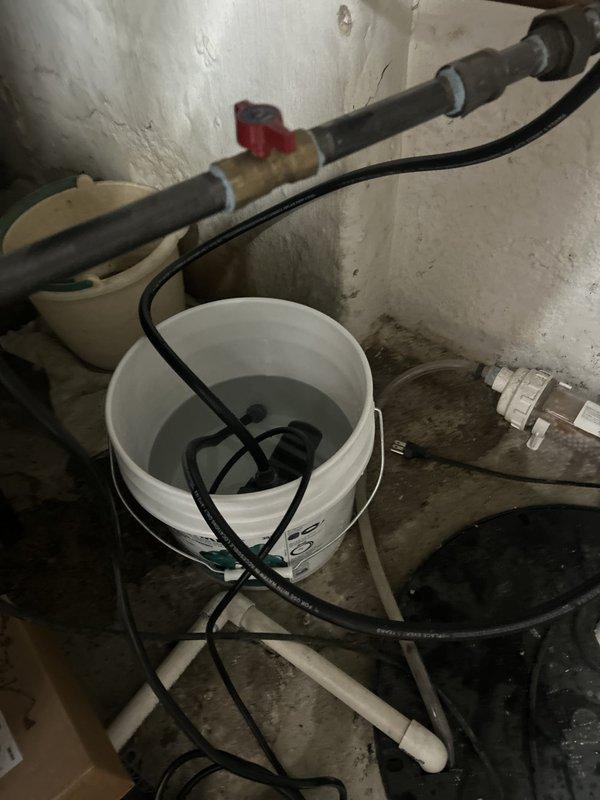Completed annual tankless water heater flush and maintenance as part of preventative care package for 100-year-old residential property. System flushed using descaling solution to remove mineral buildup, with discharge collected in bucket as shown in documentation photos. Inspected all supply and return lines, verified proper operation of isolation valves, and confirmed adequate venting and combustion air supply. Unit tested post-flush with all parameters within manufacturer specifications and system operating efficiently with no issues identified.