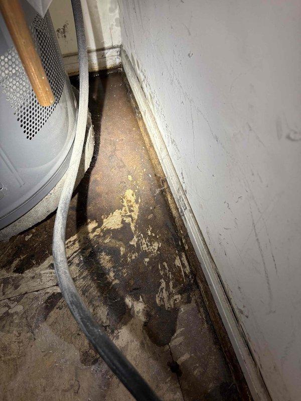 Responded to water leak investigation request in utility area near water heater where previous plumbers were unable to locate source. Conducted thorough inspection of water heater connections, supply lines, and surrounding plumbing infrastructure including kitchen sink waterline and refrigerator connection point. Upon examination, identified significant water damage and staining on concrete floor extending to wall junction, with visible moisture intrusion patterns and deterioration at baseboard level. Inspected white-painted supply piping with visible age-related discoloration and rust staining at floor penetrations. Documented condition of plumbing connections, pipe fittings, and appliance interfaces through photographic evidence showing extent of water damage in affected area. Assessed flexible supply lines, rigid piping, and all visible connections within utility space to determine leak origin point.