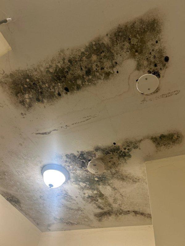 Responded to service call for ongoing water leak of unknown origin with visible mold growth present for approximately six months. Upon arrival, conducted thorough visual inspection of affected areas revealing extensive mold contamination on interior walls and ceiling surfaces. Documentation photography captured significant dark mold growth patterns on wall corners with discoloration ranging from black to grayish-brown, indicating prolonged moisture exposure. Ceiling inspection revealed heavy black and greenish-gray mold accumulation concentrated along seam lines and joints, with water damage evident throughout the surface area. Performed leak detection assessment to identify moisture source contributing to biological growth. Advised property occupant of findings and recommended immediate mold remediation services and moisture mitigation measures to prevent further contamination and structural damage.