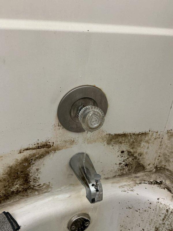 Responded to service call for bathtub and shower area with extensive mold and mildew contamination around faucet fixtures, tile surfaces, and grout lines. Upon inspection, found heavy biological growth concentrated at the base of the chrome tub spout, around the wall-mounted temperature control valve, and throughout the tile-to-tub junction areas, indicating prolonged moisture exposure and inadequate ventilation. Documented existing conditions showing dark brown and black staining patterns across white ceramic tile walls and bathtub interior surfaces. Provided customer with detailed assessment of moisture intrusion issues and recommended comprehensive remediation including professional mold removal, regrouting of affected tile areas, and potential replacement of compromised caulking and sealants around all plumbing fixtures to prevent future growth and water damage.