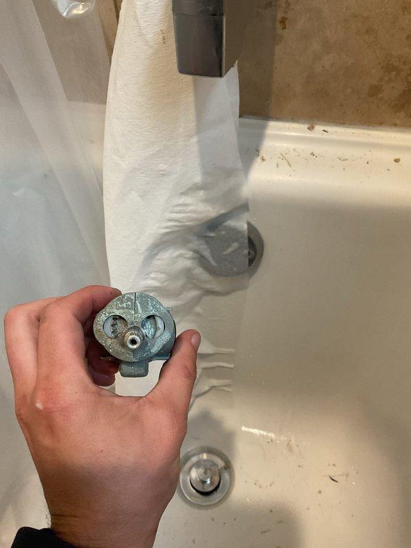 Replaced worn shower valve trim and components in bathroom tub/shower fixture. Removed old corroded valve assembly and installed new chrome trim plate with updated control mechanism, ensuring proper function of diverter system between tub spout and shower head with flexible hose connection.
