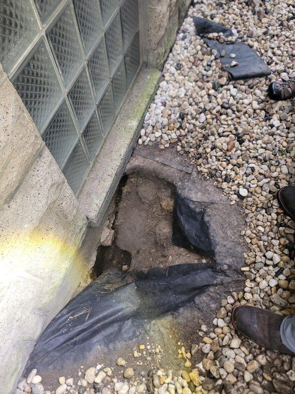 Performed sewer line camera inspection on the side of the building in response to concerns about a sinkhole formation near the foundation. Inspection revealed deteriorated landscape fabric and ground settling adjacent to the foundation wall with glass block window, indicating potential subsurface issues. Documented exterior conditions showing significant ground cover degradation and moisture staining on concrete foundation, then accessed sewer line through existing cleanout barrel structure to conduct internal pipe assessment and identify any compromised sections contributing to the ground instability.