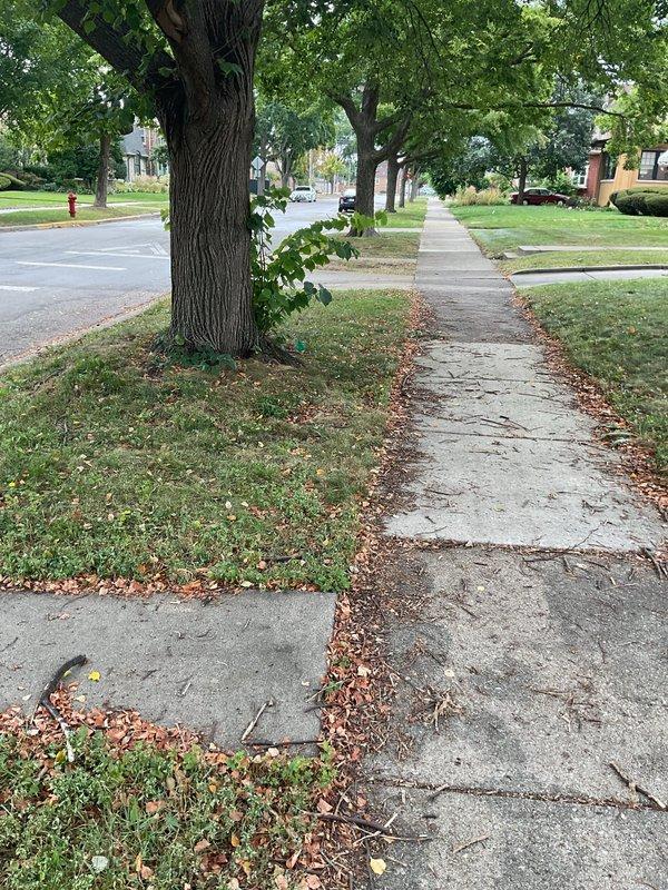 Completed annual preventative maintenance on main sewer line by performing camera inspection of the entire line. The camera inspection revealed the line was clear with no obstructions or buildup present, so rodding was not required at this time. Confirmed proper flow and system functionality throughout the main line.
