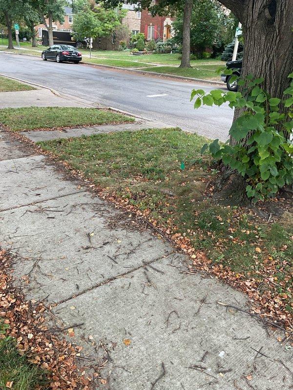 Completed annual preventative maintenance on main sewer line by performing camera inspection of the entire line. The camera inspection revealed the line was clear with no obstructions or buildup present, so rodding was not required at this time. Confirmed proper flow and system functionality throughout the main line.