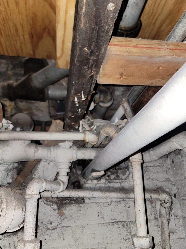 Responded to return service call for recurring shower drain backup that had been temporarily cleared during previous visit. Performed thorough inspection of drainage system including crawl space access to assess underlying plumbing infrastructure and identify root cause of persistent clogging. Examined PVC drainage lines, connections, and pipe routing beneath floor joists to determine if blockage was localized or symptomatic of larger drainage system issues requiring more extensive repair work beyond basic snaking procedures.