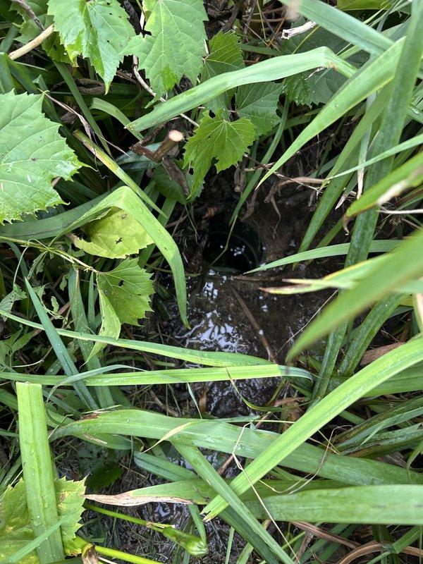Responded to service call for sump pump discharge issue causing excessive moisture and soft ground conditions in exterior garden area. Upon inspection, identified improper drainage routing with discharge pipes releasing water directly into landscaped area rather than appropriate drainage point. Examined sump basin and discovered debris accumulation within piping system causing partial blockage and affecting flow efficiency. Cleared obstruction from affected pipe section and realigned discharge piping to redirect water flow away from garden area to prevent future soil saturation. Assessed overall sump pump operation and verified proper function of pump mechanism and float switch. Provided recommendations for ongoing maintenance including periodic basin inspection and debris removal to prevent future blockages and ensure optimal system performance.