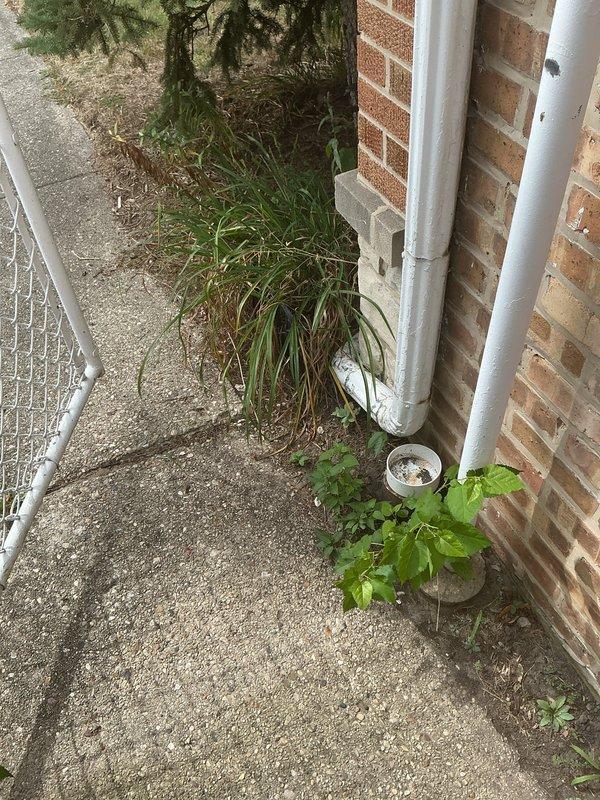 Performed camera inspection of underground sewer line accessed through exterior manhole. Removed rusted manhole cover to gain access to the drainage system and deployed camera equipment into the main line. Inspection focused on evaluating the condition of the sewer lateral and identifying any blockages, root intrusion, or structural deficiencies in the underground piping system running alongside the building's foundation near the downspout drainage area.