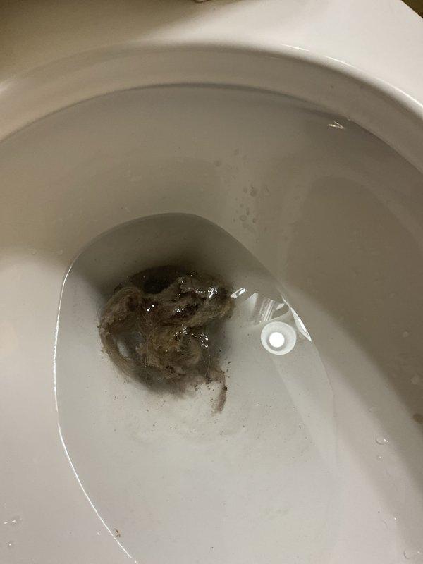 Responded to slow draining bathtub complaint and performed drain clearing service. Removed accumulated hair and fibrous debris causing blockage in bathtub drain line. Verified proper drainage flow restored upon completion of cleaning procedure.