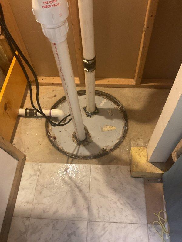 Replaced malfunctioning float switch on existing ion ejector pump system. Verified proper operation of pump discharge through quiet check valve, ensured all electrical connections were secure, and confirmed system cycled correctly upon testing.