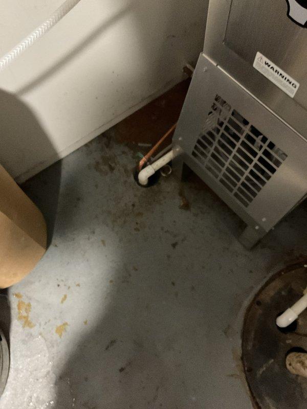 Responded to service call for clogged basement drain that was not draining properly. Upon arrival, located the affected drain in the mechanical room area near HVAC equipment and water heater. Successfully cleared the blockage and restored proper drainage function to the basement floor drain system.