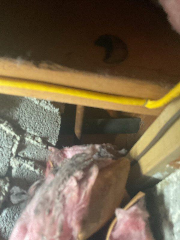 Responded to customer report of dripping sound behind wall in area where previous plumbing estimates had been provided. Accessed ceiling cavity space and removed insulation to expose copper piping system for inspection. Documented existing pipe configuration including 90-degree elbow joint and assessed condition of plumbing installation in relation to reported water intrusion concern to provide repair estimate.