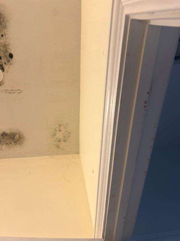 Responded to priority water leak locate service at residential property experiencing significant moisture intrusion resulting in extensive mold growth throughout interior spaces. Conducted thorough visual inspection and documented severe biological contamination on ceiling surfaces and wall areas, with heavy concentrations of black mold, mildew, and dark spore growth indicating prolonged water exposure. Identified moisture damage patterns on drywall and painted surfaces, with contamination spreading across multiple ceiling sections and interior wall corners. Photographed affected areas showing irregular patches of mold growth with varying densities, particularly concentrated in upper corners and along wall-to-ceiling junctions. Assessment revealed active moisture issues requiring immediate attention to prevent further structural deterioration and health hazards from biological growth.