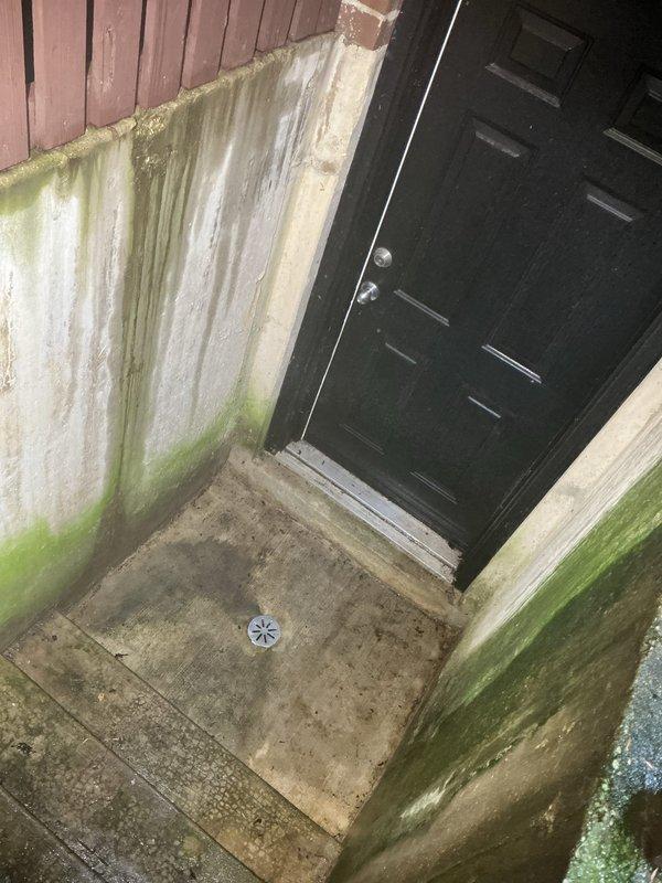 Responded to water seepage concern through concrete surfaces. Conducted thorough inspection of exterior basement stairwell entrance and interior areas to determine if issue was plumbing-related or structural concrete problem. Documented extensive moisture infiltration evidenced by significant algae and mold growth on concrete stairwell walls, water staining on surfaces, and biological growth on interior wall corners. Observed functional floor drain at base of exterior stairwell and interior drain system. Assessment revealed moisture issues consistent with groundwater infiltration and inadequate drainage rather than active plumbing leak. Recommended specialist evaluation for concrete waterproofing and drainage solutions to address ongoing water seepage and prevent further deterioration.
