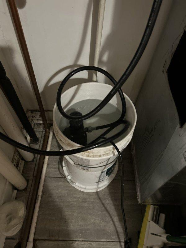 Performed routine maintenance flush on electric water heater as requested. Upon arrival, contacted occupant and gained access to mechanical room. Inspected unit and confirmed no existing issues or operational concerns. Connected drain hose to tank drain valve and positioned collection bucket on utility room floor. Opened drain valve and flushed sediment and mineral buildup from tank bottom until water ran clear. Closed drain valve, verified all connections were secure and leak-free, and confirmed proper unit operation. System returned to normal service with no issues noted.