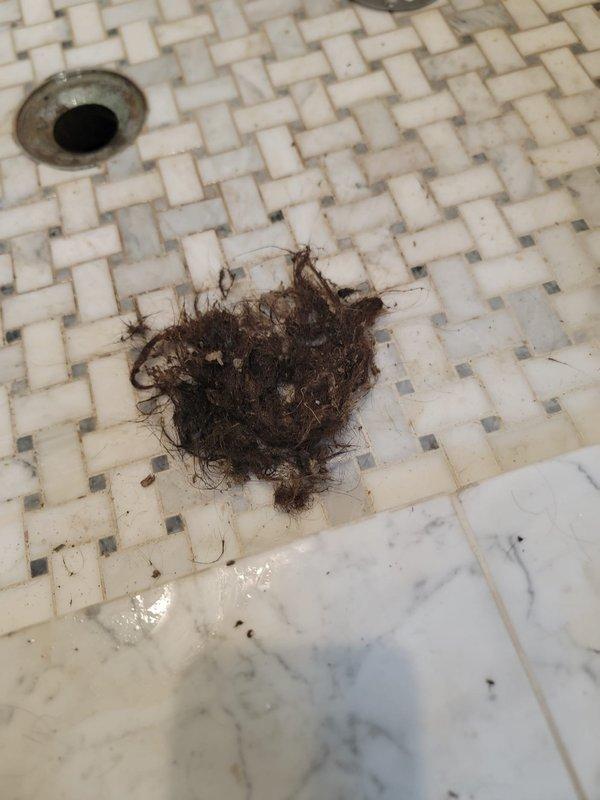 Responded to a shower drain stoppage complaint in a condominium unit. Upon inspection, discovered the drainage issue was isolated to the unit's individual plumbing system rather than the building's main sewer line. Removed accumulated hair and debris from the shower drain assembly, restoring proper water flow. Confirmed the blockage was localized to the fixture drain and not related to previous main line service work performed for the condominium association.