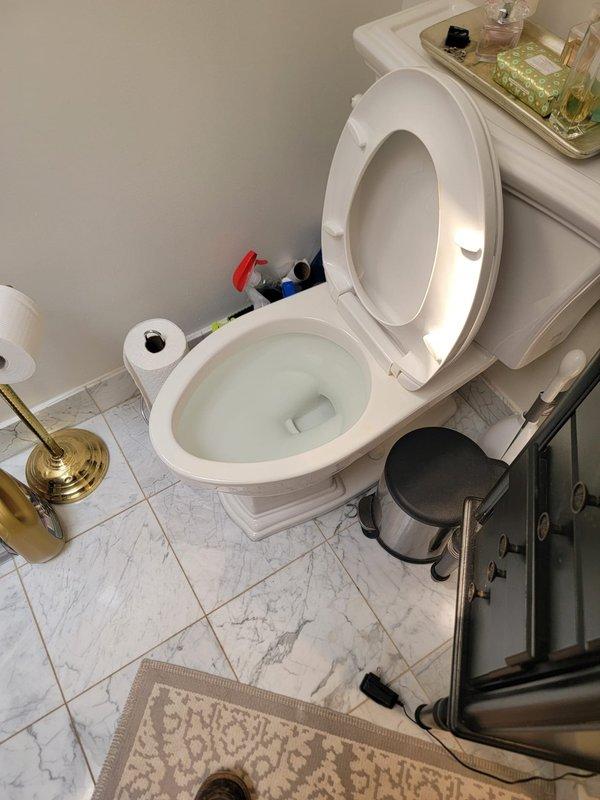 Responded to a shower drain stoppage complaint in a condominium unit. Upon inspection, discovered the drainage issue was isolated to the unit's individual plumbing system rather than the building's main sewer line. Removed accumulated hair and debris from the shower drain assembly, restoring proper water flow. Confirmed the blockage was localized to the fixture drain and not related to previous main line service work performed for the condominium association.