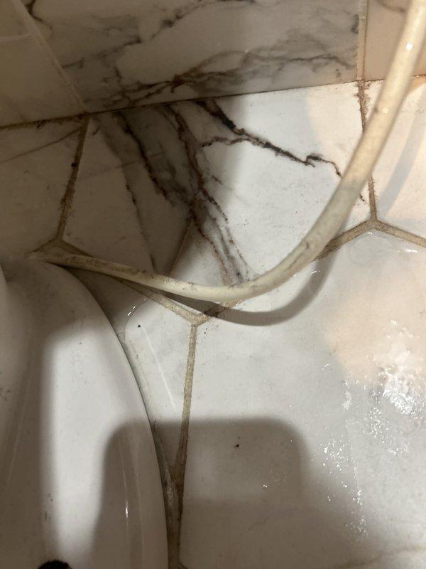 Responded to water leak investigation for suspected intrusion from upstairs unit bathroom causing ceiling damage. Upon inspection, documented extensive mold growth and wall deterioration in affected bathroom area, with visible moisture damage to wall surfaces and structural materials. Utilized moisture detection equipment to assess leak source and extent of water infiltration, confirming active moisture presence consistent with overhead plumbing leak from neighboring unit.