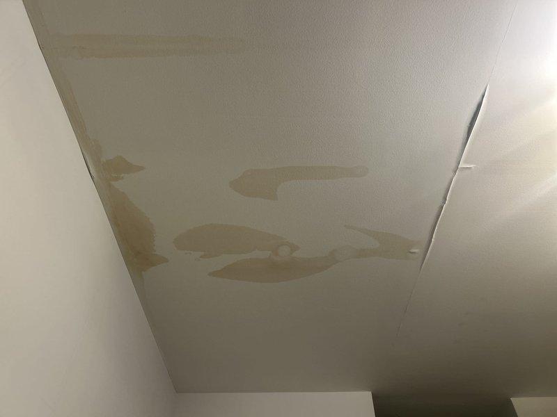 Responded to water intrusion complaint with visible ceiling damage in interior space. Conducted visual inspection and documented extensive water staining on ceiling surface, indicating active leak from upper level plumbing system. Customer confirmed washing machine ruled out as source. Photographed affected areas showing multiple brown and tan discoloration patterns across ceiling material, suggesting prolonged moisture infiltration from overhead plumbing fixture or supply line. Assessed damage severity and leak location to provide repair estimates and coordinate follow-up services for source identification and remediation.