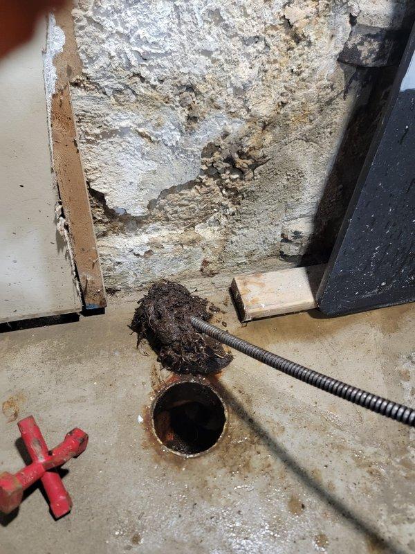 Responded to residential main sewer drain blockage in basement. Successfully cleared clog in main line running from basement cleanout to street connection using mechanical drain cleaning equipment. Accessed drain through basement floor cleanout, deployed cable snake through line to remove obstruction and restore proper flow. Tested system to confirm full drainage restored. Basement floor drain and surrounding area showed evidence of previous backup with water staining on concrete floor. No structural damage to drain system observed; cleanout cover and access point remain functional. Advised customer that drainage is operating normally.