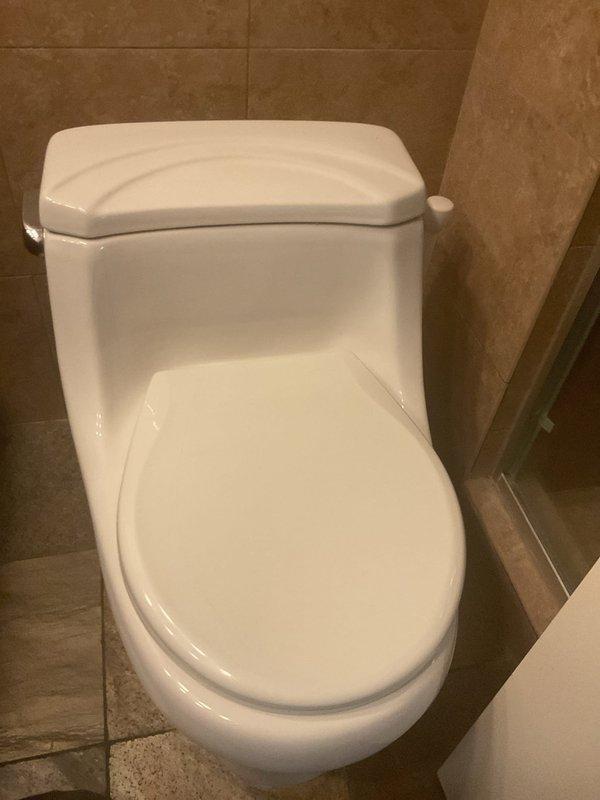 Completed installation of client-supplied skirted gravity toilet following coordinated building water shutoff after 9:00 AM. Removed and disposed of existing toilet fixture, installed new unit with fresh wax seal and bolt kit, and verified proper operation. Building water service was restored upon completion with building management supervision present throughout the shutoff procedure.