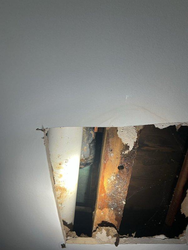 Responded to service call for two plumbing issues: a slow-draining sink in the second-floor master bedroom and suspected water leak in the basement indicated by ceiling watermarks. Assessed the master bathroom sink drain and determined blockage cause. Cut access opening in basement ceiling to investigate source of water damage and staining. Located supply line issue above affected area. Exposed wooden framing showed moisture damage and discoloration consistent with active leak. Repaired compromised pipe connection to eliminate water intrusion. Verified proper drainage function at master sink by clearing obstruction from trap assembly.