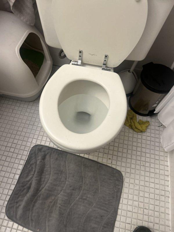 Responded to a request for same-day toilet service and assessed the existing fixture for a wax ring replacement, with the bathroom and toilet base area inspected and documented via photos. Replacement wax ring to be supplied by the technician, as the customer did not have one on hand, and an estimate was prepared for the toilet reset and wax ring replacement.