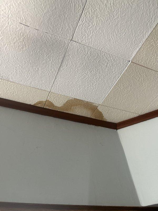 Performed a water leak locate investigation in response to dripping at the bathtub faucet and tub base, with water migrating down to the kitchen ceiling below. Inspected the affected ceiling area, documenting a water-stained ceiling tile section along the crown molding, and examined the adjacent mechanical space near the water heater, noting accumulated debris and exposed copper supply piping and fittings. Documented findings with photographs to support repair recommendations.