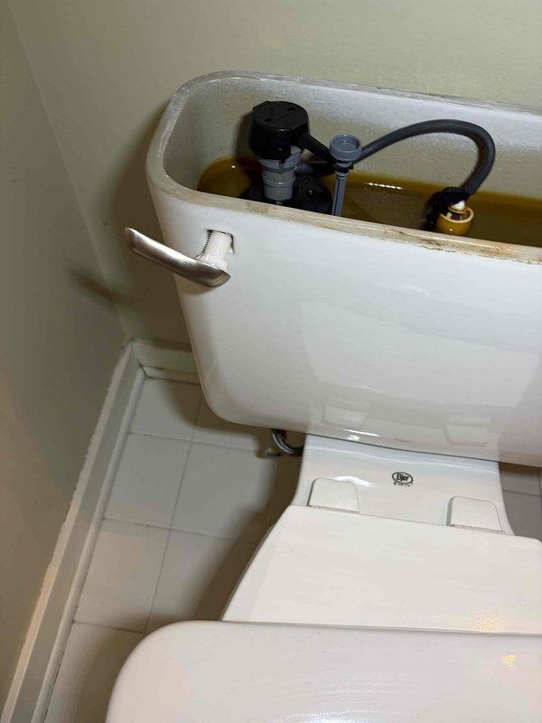 Inspected the toilet tank and found heavy mineral staining, sediment buildup, and discolored water, along with a worn flapper and aging fill valve assembly affecting flush performance. Completed the sold repair by servicing the tank components, including the flapper, flush lever chain, and fill valve, to restore proper sealing, water level, and flush operation.