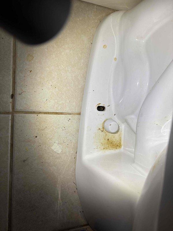 Responded to a leaking faucet complaint and inspected the kitchen pull-out faucet and basement bathroom faucet for leak sources. Also assessed the reported toilet leak and checked supply connections and fixtures for water loss. Documented the existing conditions, including staining and wear on the sink and fixtures, with photos.