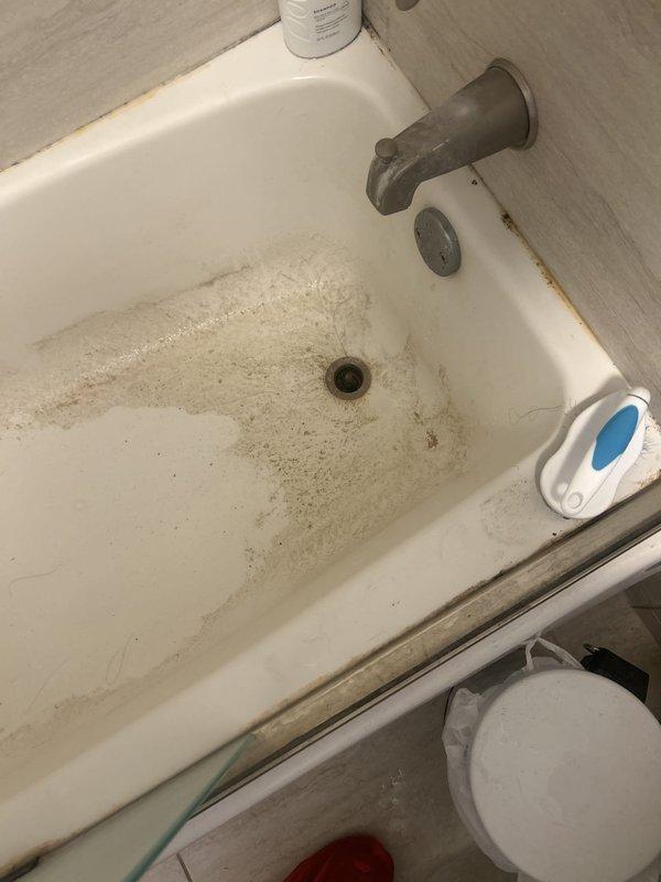 Responded to clogged bathtub and kitchen sink drains with associated drain fly activity, and found heavy organic buildup, hair, and biofilm residue around both drain openings. Cleared the obstructions using drain cleaning equipment to restore proper flow in both fixtures, and removed the debris and grime that was serving as a breeding source for the drain flies. Recommended routine drain maintenance and cleaning to prevent recurrence of blockages and fly activity.