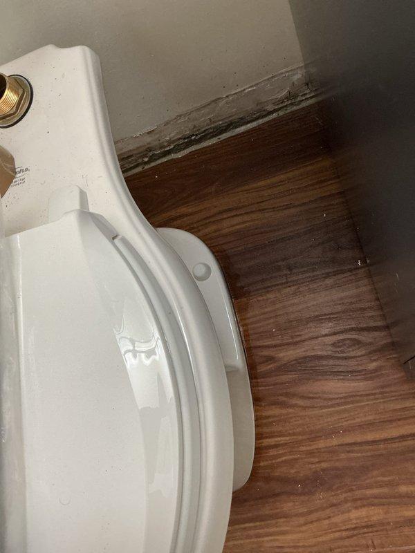 Pulled the toilet approximately three inches from the wall to access the vacuum tube and complete the repair on the single fixture, coordinating the work with the scheduled building water shut-off at the bathroom riser. Documented conditions on-site, including deteriorated, discolored baseboard behind the toilet and damp-appearing flooring near the base, which may indicate moisture intrusion or a past leak. Also noted worn, tarnished chrome trim on the tub valve and spout.