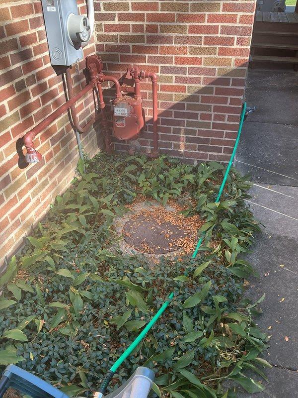 Accessed the main sewer line through the exterior cleanout and inspected the below-grade access basin, noting deteriorated masonry walls and standing water at the base. Performed a main line cleanout to clear the blockage and restore proper flow through the sewer lateral.