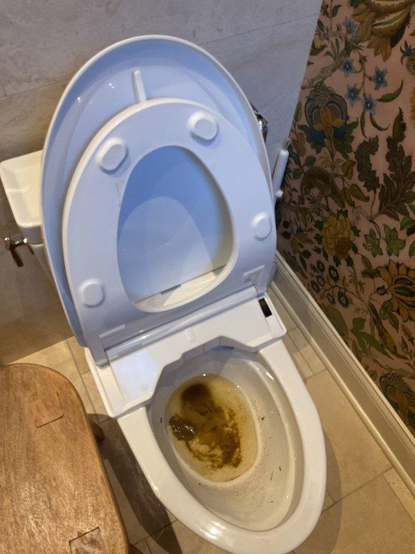 Cleared a clogged toilet on an electronic bidet-style fixture, removing the obstruction and clearing the standing water and debris from the bowl. Verified proper flushing and drainage after the repair, leaving the bowl clean and the fixture fully operational.