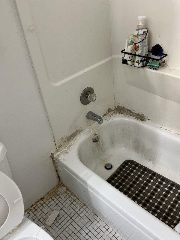 Responded to a warranty callback for a recurring leak at the tub/shower assembly and inspected the shower valve, tub spout, and surrounding wall and ceiling areas for the source of water intrusion. Verified the condition of the tub-to-wall surround seam and associated sealing, noting heavy mildew and buildup along the joint, and checked adjacent ceiling surfaces for signs of moisture migration. Recommend cleaning and re-sealing the tub-to-surround joint and continued monitoring of the valve and spout connections to prevent recurrence.
