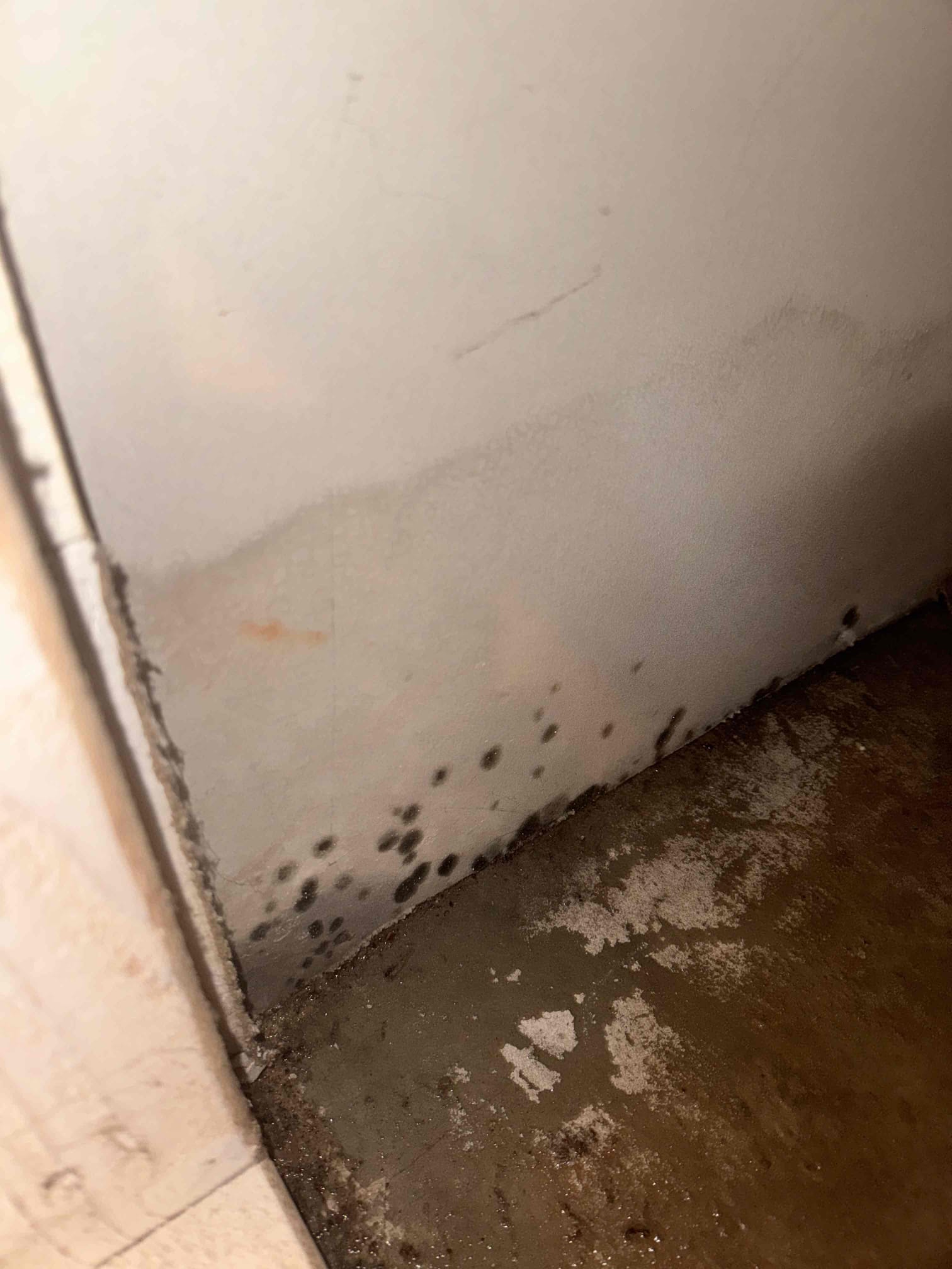 Upon inspection, the evaporator coil was found completely frozen, hindering accurate evaluation of the refrigerant charge and system operation. The return air filter was heavily restricted with dirt and debris, significantly reducing airflow and contributing to the freeze-up. The blower assembly was in acceptable condition with no excessive buildup. The return cavity showed standing water, water staining, and microbial growth due to prolonged moisture exposure. Until the coil thaws, a proper diagnosis is not possible. Post-thaw, we will re-evaluate blower operation, airflow, refrigerant pressures, and system performance to identify any additional issues.