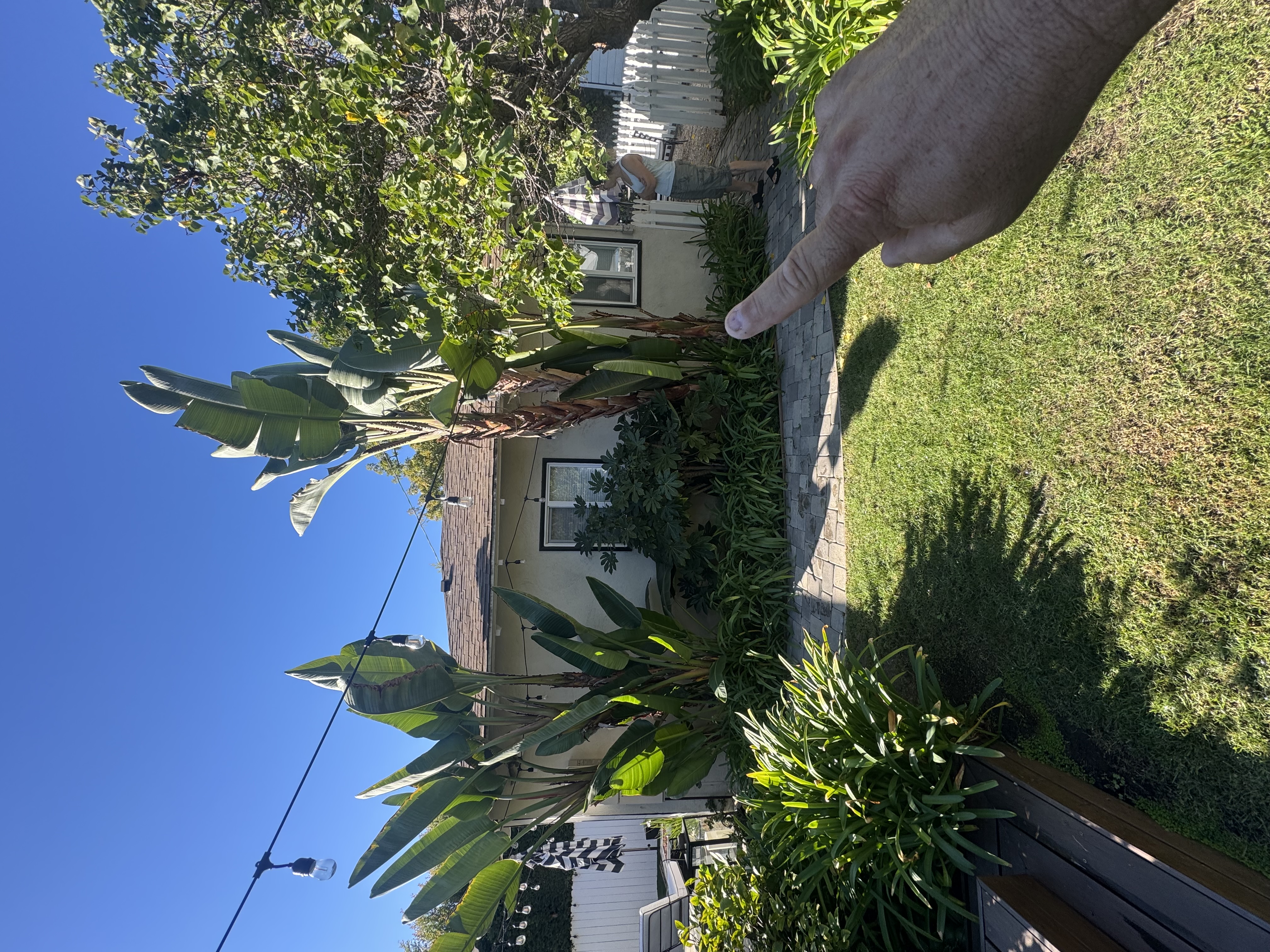 Estimate in LA