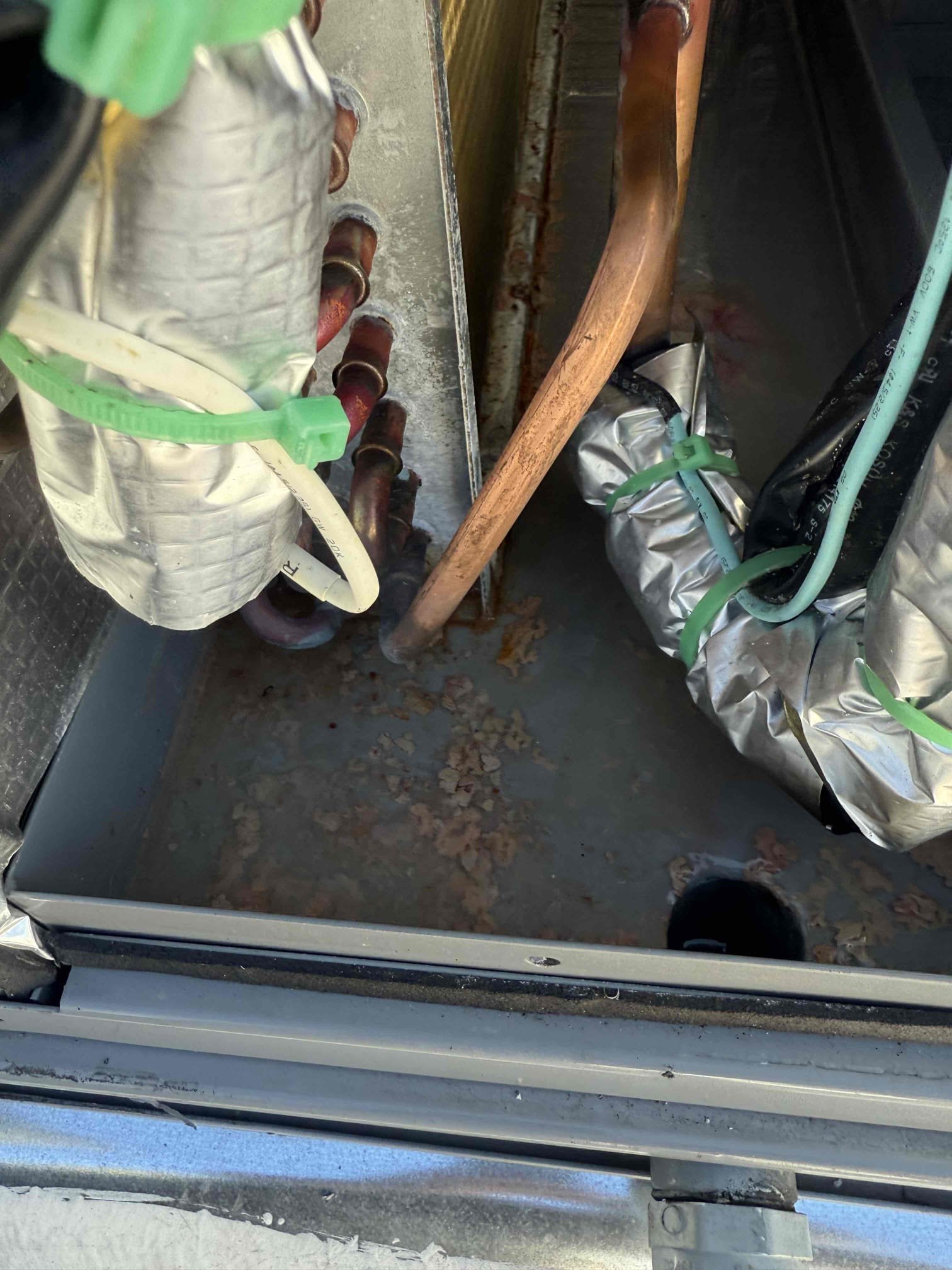 I installed the Scorpion HX15 UVC-LED disinfection system in your HVAC unit. This robust system is designed for residential use, effectively killing mold, mildew, bacteria, and other harmful growths on the evaporator coil and surrounding areas. With its 30,000-hour lifespan and integrated air flow sensor, it lasts up to five times longer than traditional UV bulbs. It also reduces musty odors and prevents drain line clogs. I ensured your system and air quality are safe by blowing out the condensation line. 50% deposit required, with a 30-day labor warranty. I installed the Scorpion HX15 UVC-LED disinfection system in your HVAC unit. This robust system is designed for residential use, effectively killing mold, mildew, bacteria, and other harmful growths on the evaporator coil and surrounding areas. With its 30,000-hour lifespan and integrated air flow sensor, it lasts up to five times longer than traditional UV bulbs. It also reduces musty odors and prevents drain line clogs. I ensured your system and air quality are safe by blowing out the condensation line. 50% deposit required, with a 30-day labor warranty.
