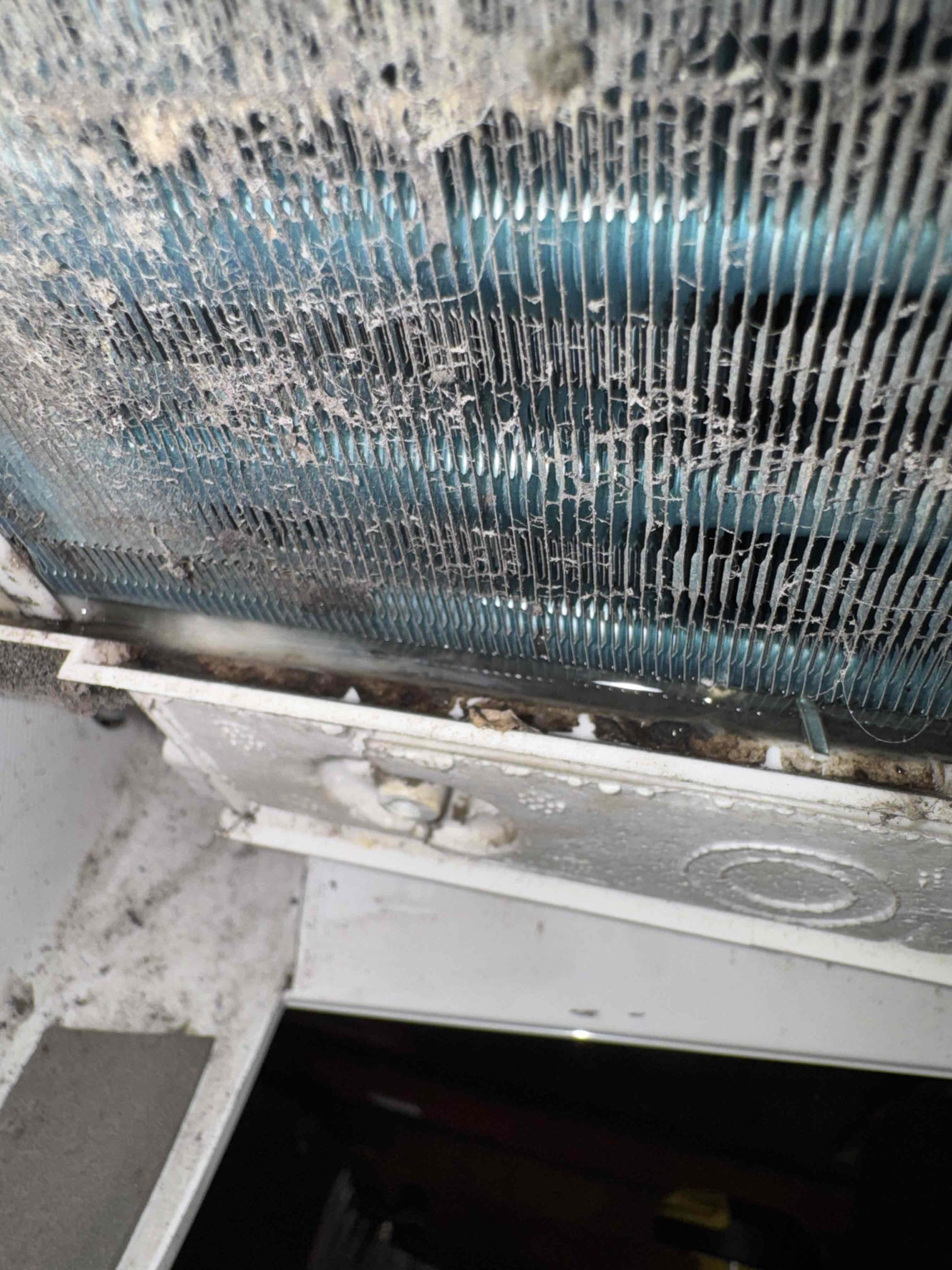 Upon inspection, the indoor unit’s drain pan was found to have a significant accumulation of lint and grime, which was impeding proper drainage. I meticulously vacuumed out the accessible debris to enhance the unit’s drainage efficiency. Additionally, the blower wheel was heavily coated with dust and debris, indicating a need for a thorough deep cleaning. Although I addressed the immediate issue, the leak may persist until a comprehensive deep cleaning is performed, as some buildup remains in areas that were not accessible during this visit. A full cleaning will ensure optimal performance and prevent future leaks.