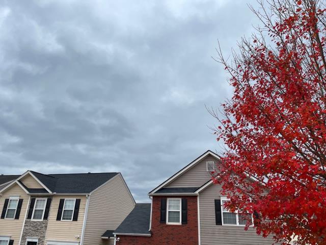 Covington, GA - Shingles: Moire Black - XT25 Year Covington, GA - Shingles: Moire Black - XT25 Year
